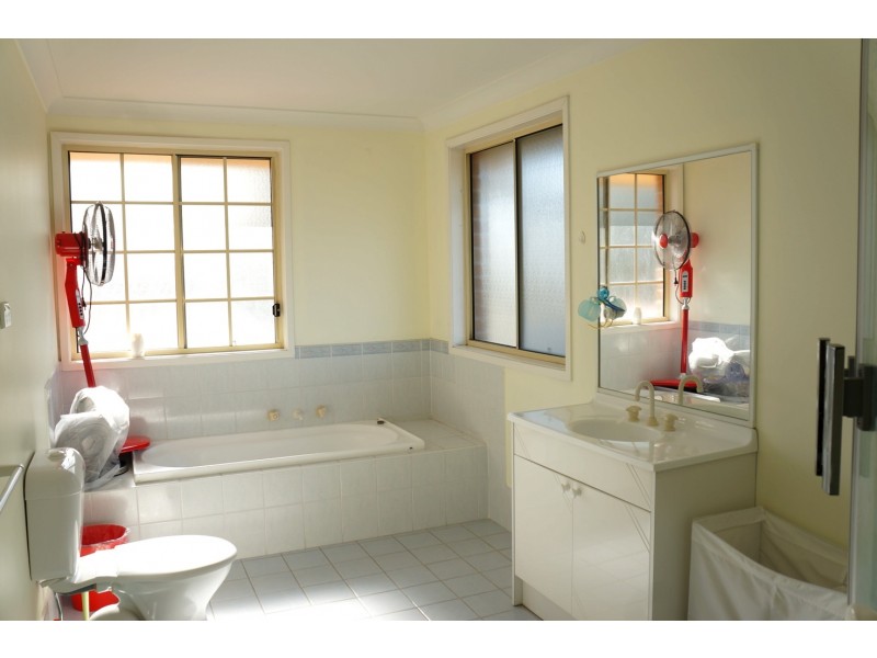 376 Canley Vale Road, Canley Heights NSW 2166