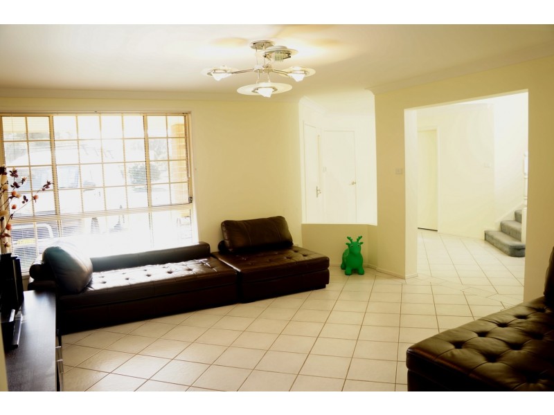 376 Canley Vale Road, Canley Heights NSW 2166