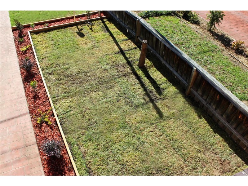 2A Clarence St, Canley Heights NSW 2166