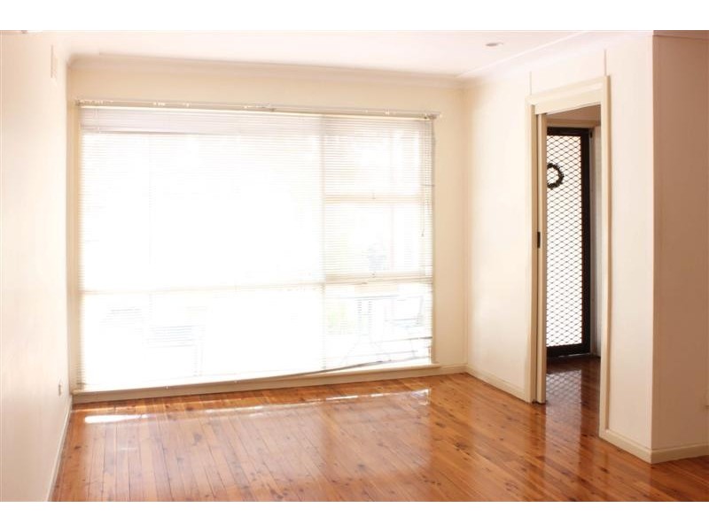 39 Hamel Rd, Mount Pritchard NSW 2170