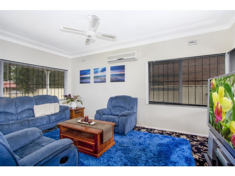20 Bromley St, Canley Vale NSW 2166