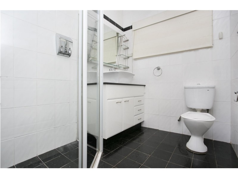 101 Wyong St, Canley Heights NSW 2166