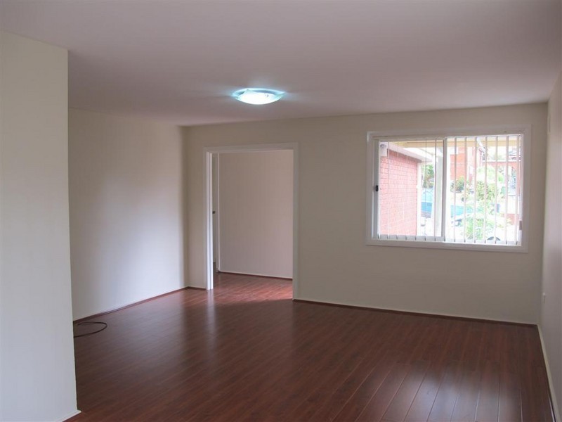 21 Stonehaven Parade, Cabramatta NSW 2166