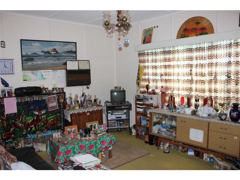 100 Wyong St, Canley Heights NSW 2166