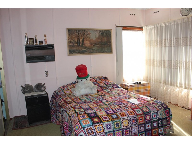 100 Wyong St, Canley Heights NSW 2166