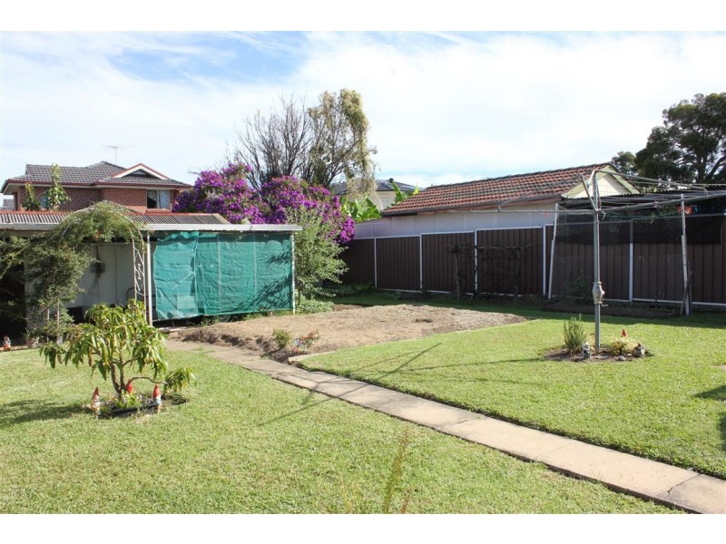 100 Wyong St, Canley Heights NSW 2166