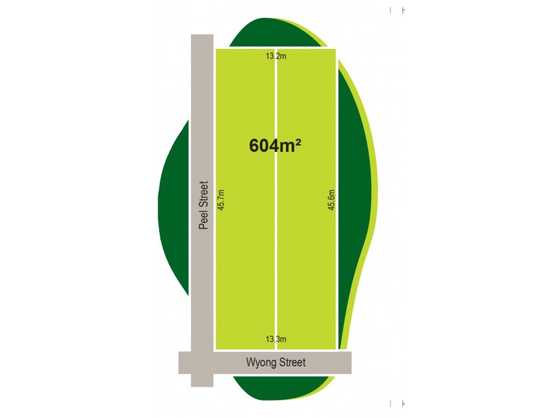 100 Wyong St, Canley Heights NSW 2166