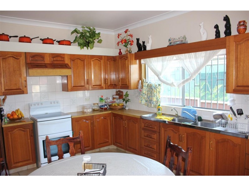 102 Wyong St, Canley Heights NSW 2166