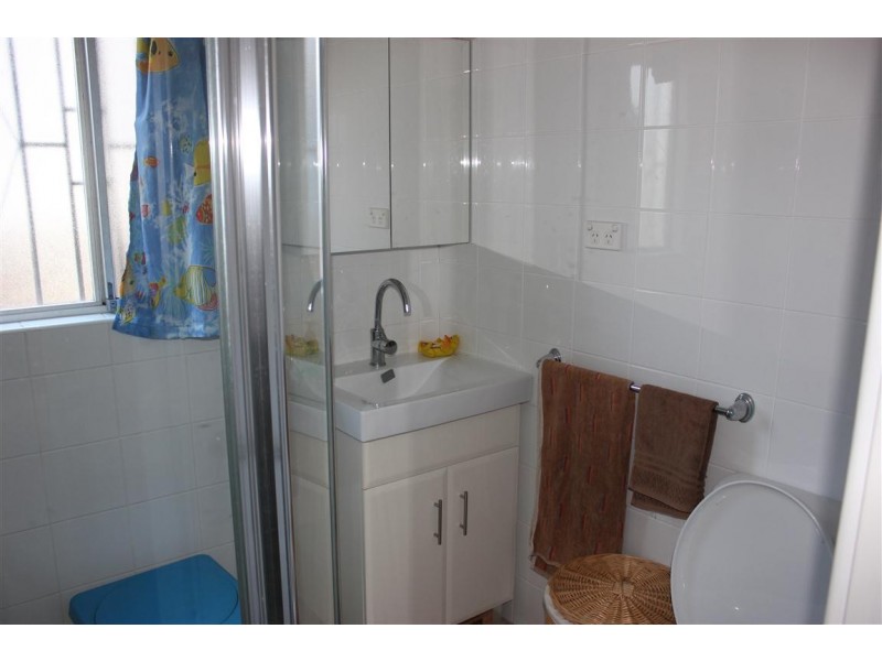 102 Wyong St, Canley Heights NSW 2166