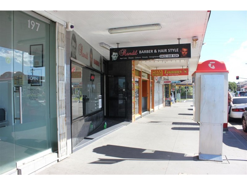 199 Hamilton Rd, Fairfield West NSW 2165