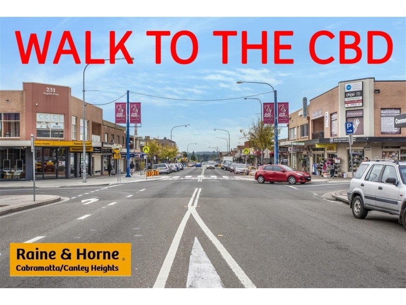 39 Ferngrove Rd, Canley Heights NSW 2166