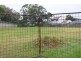 Lot 11 Cumberland Highway, Cabramatta NSW 2166