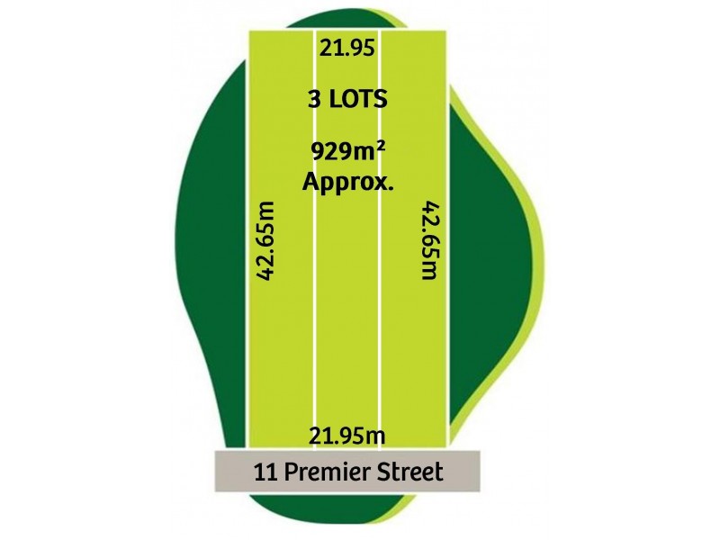 11 Premier St, Canley Vale NSW 2166