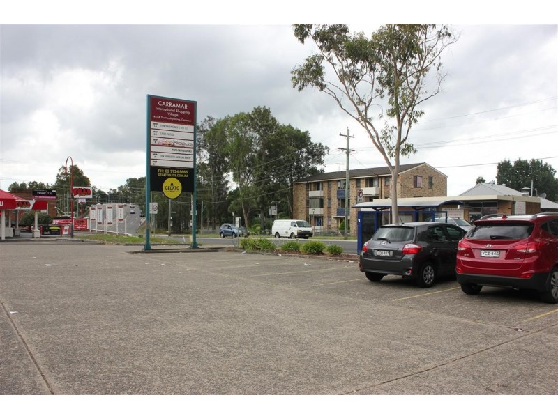 Carramar NSW 2163