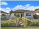 22 Derby St, Canley Heights NSW 2166