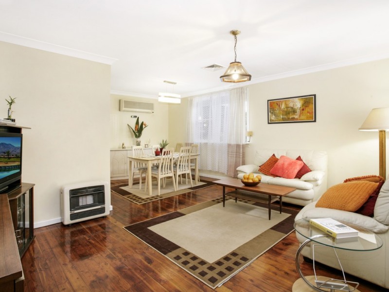 16 Gowrie Place, Cabramatta NSW 2166