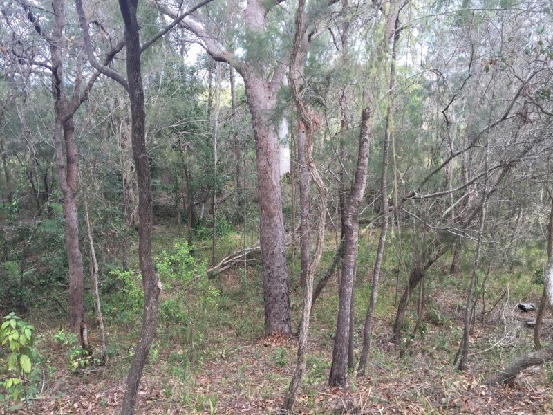 1-3 COAST ROAD, Macleay Island QLD 4184