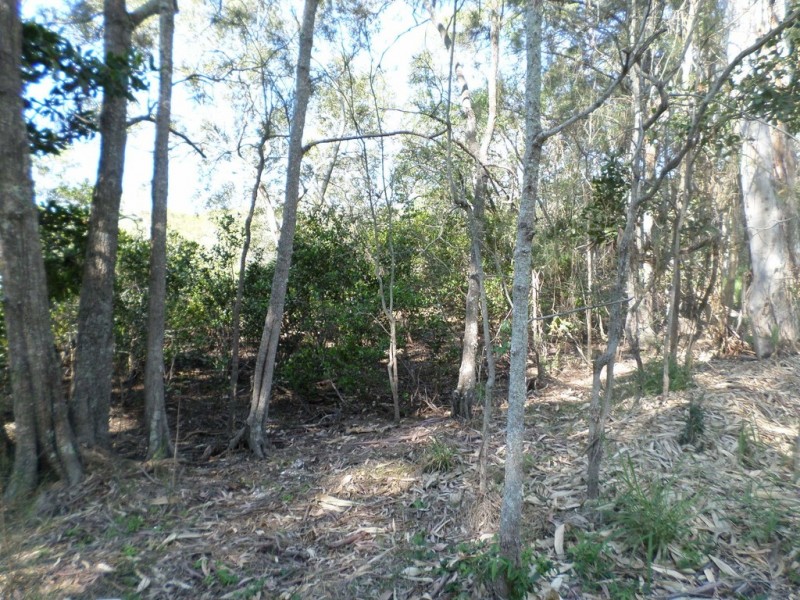 8 BOAT HARBOUR AVENUE, Macleay Island QLD 4184