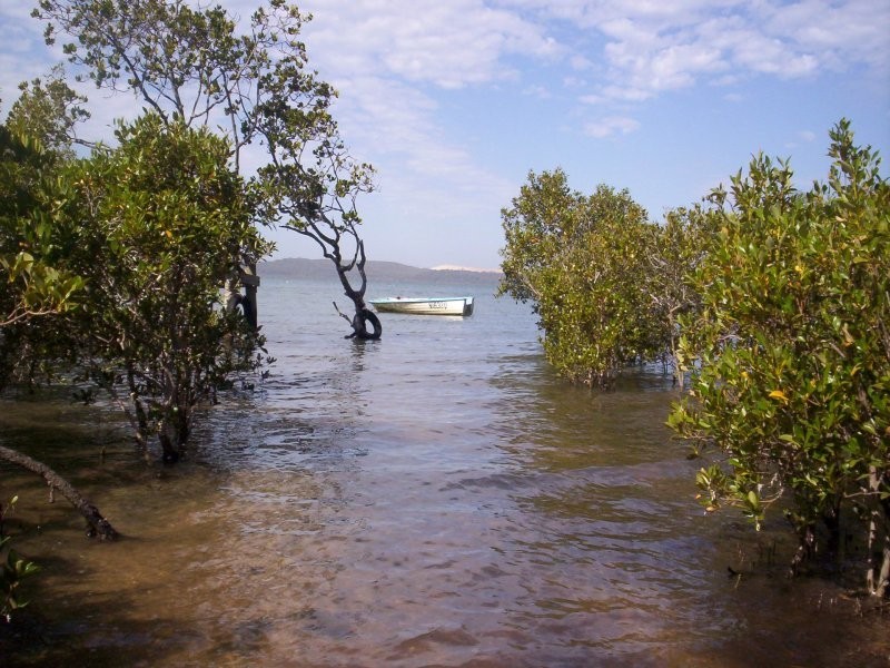 67 Beelong Street, Macleay Island QLD 4184
