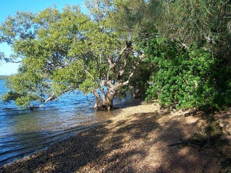 48 RESTHAVEN  DR, Lamb Island QLD 4184