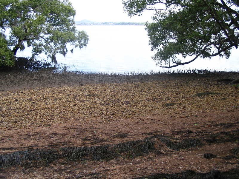 48 RESTHAVEN  DR, Lamb Island QLD 4184