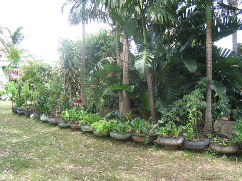14 LOVELL PRDE, Lamb Island QLD 4184