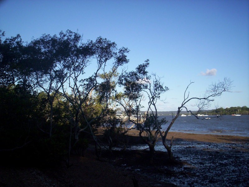 12 RUSSELL, Macleay Island QLD 4184