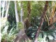 4-6 JUNEE PDE, Karragarra Island QLD 4184