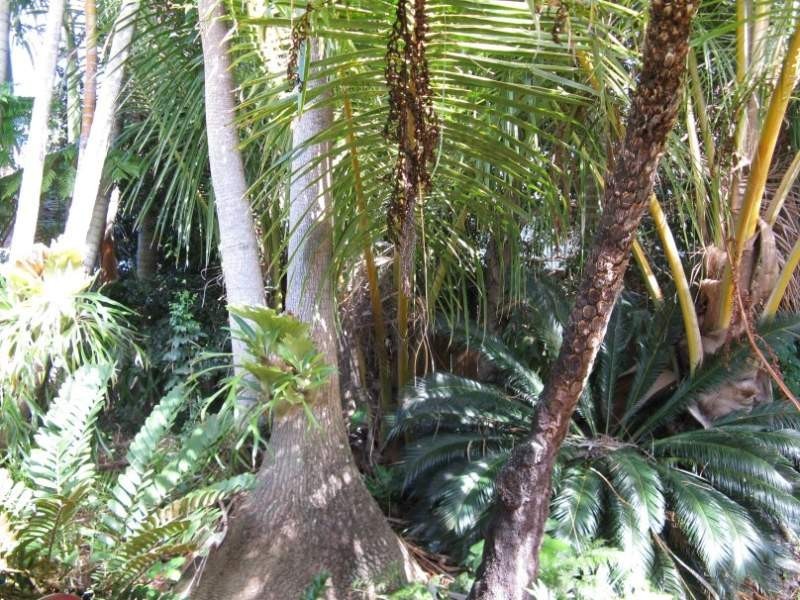 4-6 JUNEE PDE, Karragarra Island QLD 4184