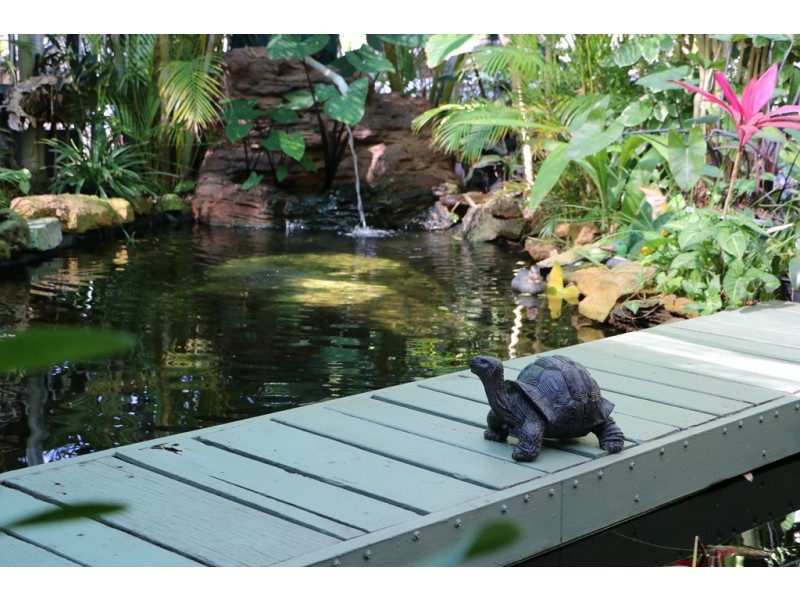 25 Benowa Road, Macleay Island QLD 4184