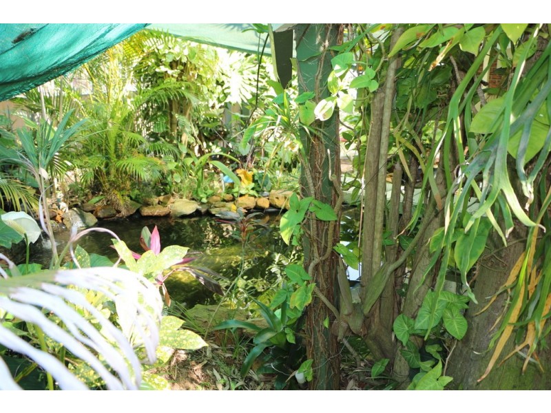 25 Benowa Road, Macleay Island QLD 4184