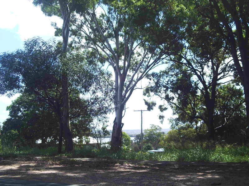 62 High Central Road, Macleay Island QLD 4184