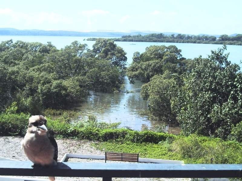 10 Kilto Lane, Macleay Island QLD 4184
