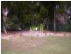 288-296 High Central Road, Macleay Island QLD 4184