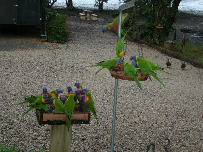 Macleay Island QLD 4184