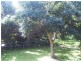 14 Lemontree Drive, Macleay Island QLD 4184