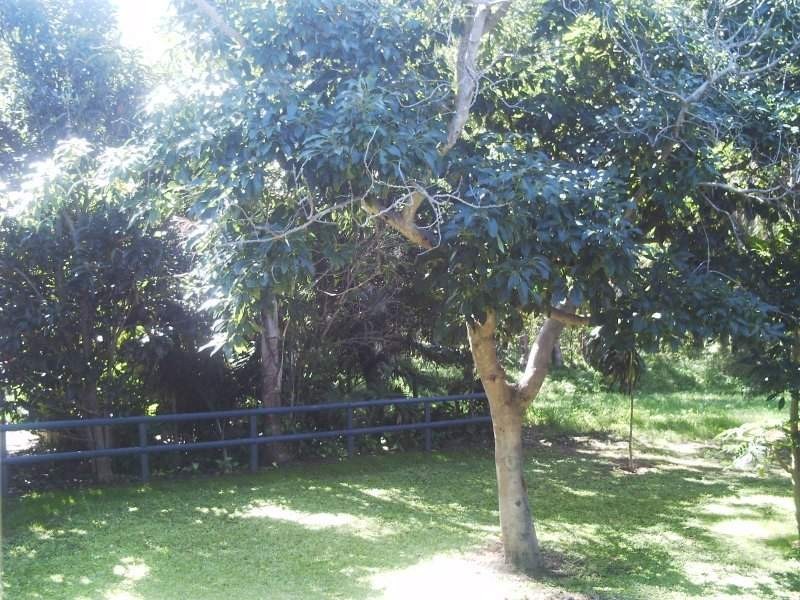 14 Lemontree Drive, Macleay Island QLD 4184