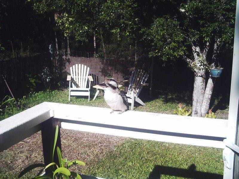 160 High Central Road, Macleay Island QLD 4184