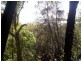 62 Timothy Street, Macleay Island QLD 4184