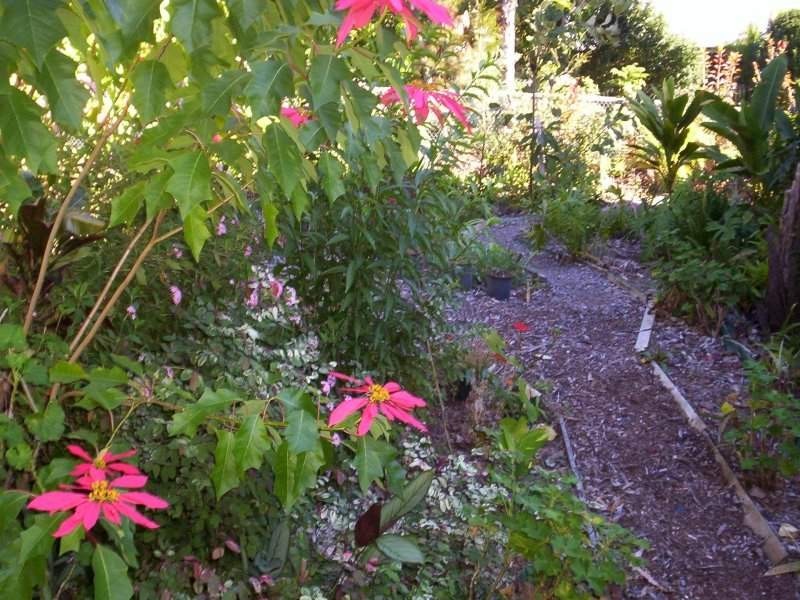 2 Quail Place, Macleay Island QLD 4184