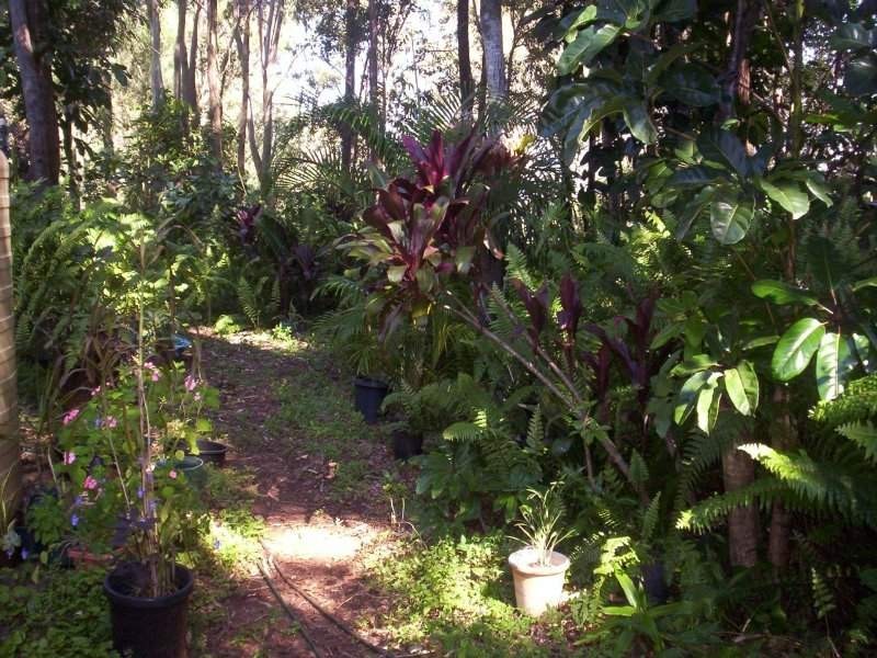6 Scarborough Terrace, Macleay Island QLD 4184