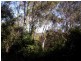 6 Scarborough Terrace, Macleay Island QLD 4184