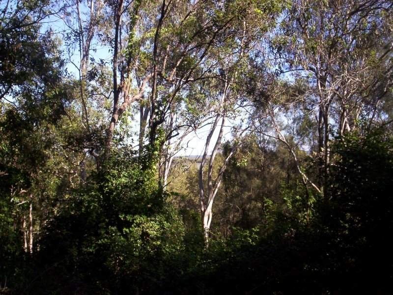 6 Scarborough Terrace, Macleay Island QLD 4184