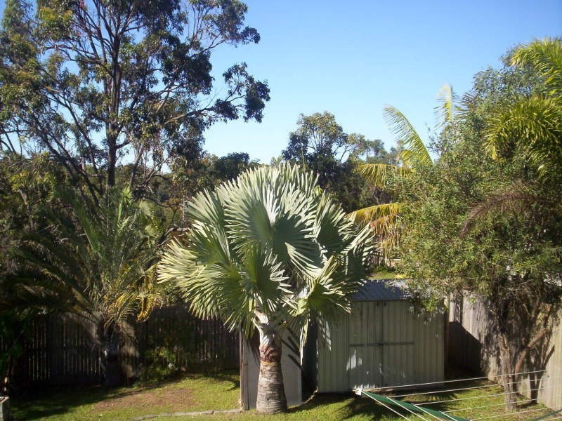 22 ASHTON STREET, Macleay Island QLD 4184