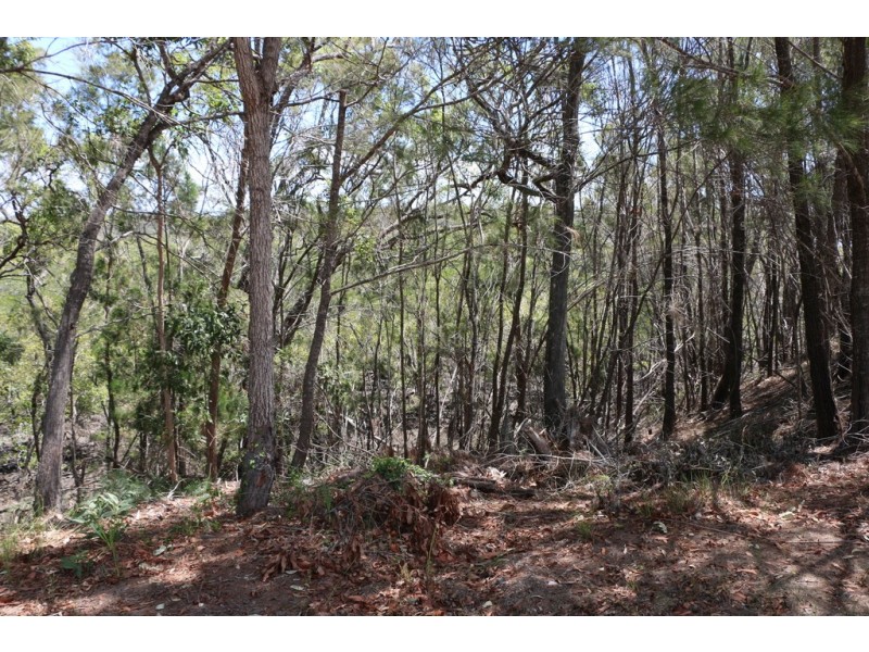 10 CALM WATERS CRESCENT, Macleay Island QLD 4184