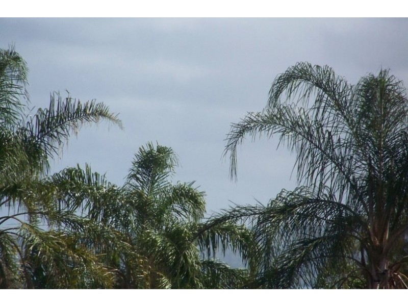 15 SHELLY CRES, Lamb Island QLD 4184