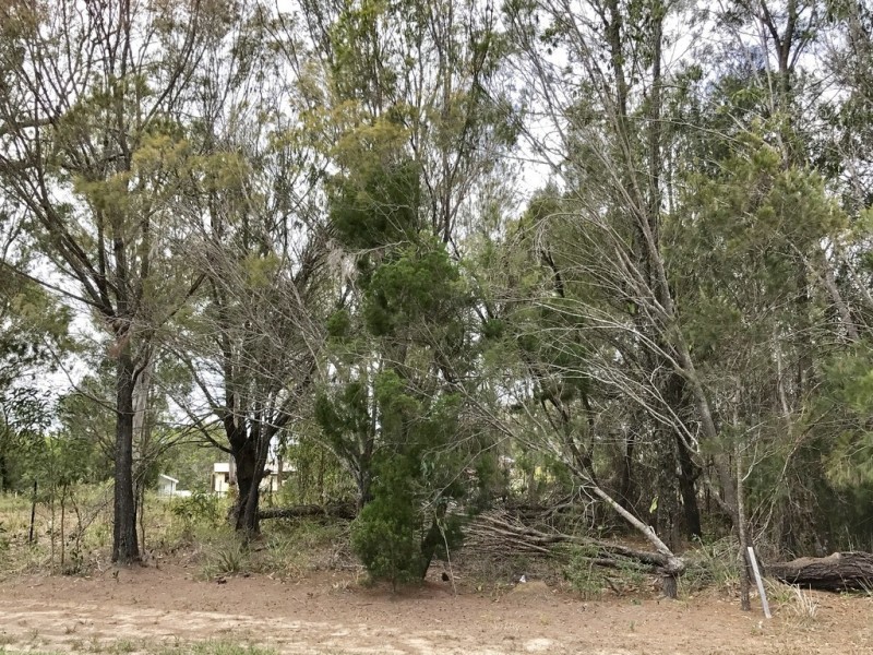 7 CRESSY STREET, Macleay Island QLD 4184