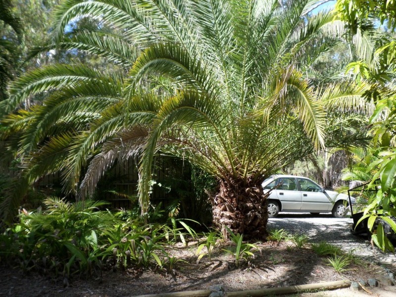 9 ARUMA STREET, Macleay Island QLD 4184