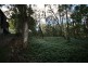77 COONDOOROOPA DRIVE, Macleay Island QLD 4184