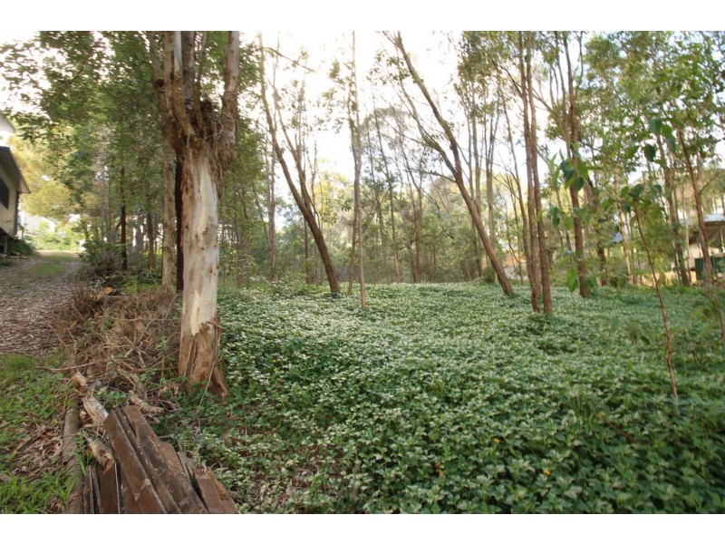 77 COONDOOROOPA DRIVE, Macleay Island QLD 4184